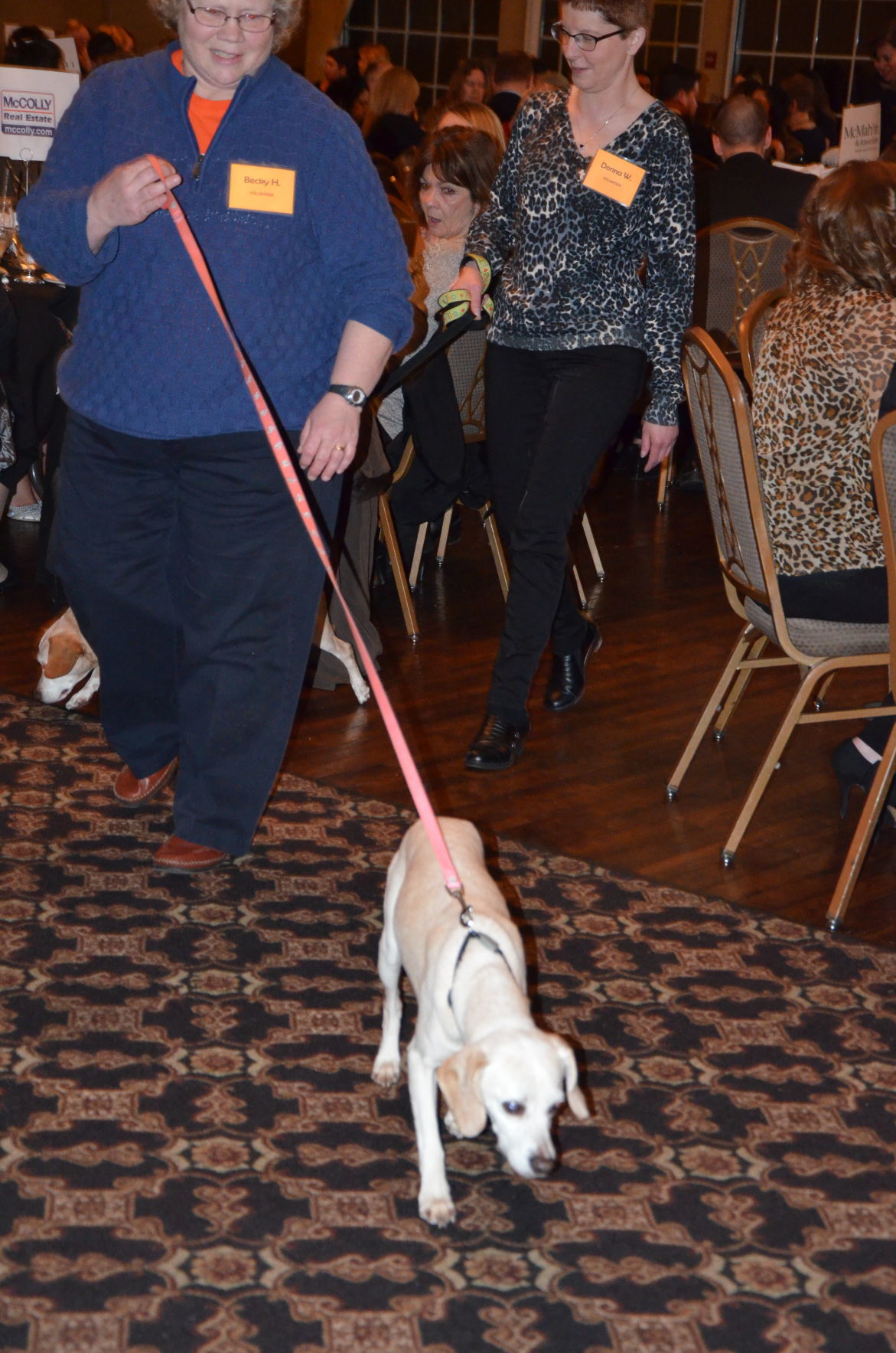 Humane Indiana Gala